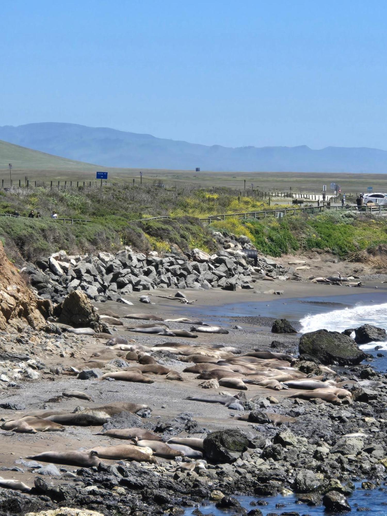 Coast Riders Inn San Simeon Exteriör bild
